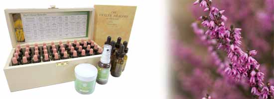 Discover The Bach Flower Remedies & The Work Of Dr Bach