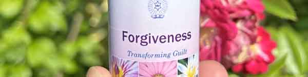 Bottle of Forgiveness Essence from the Divine Harmony Essences