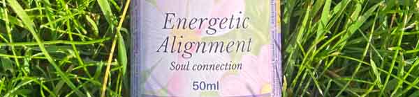 A bottle of Energetic Alignment Essence spray lying in the grass