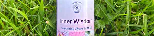 A bottle of the Inner Wisdom Essence lying in grass in nature