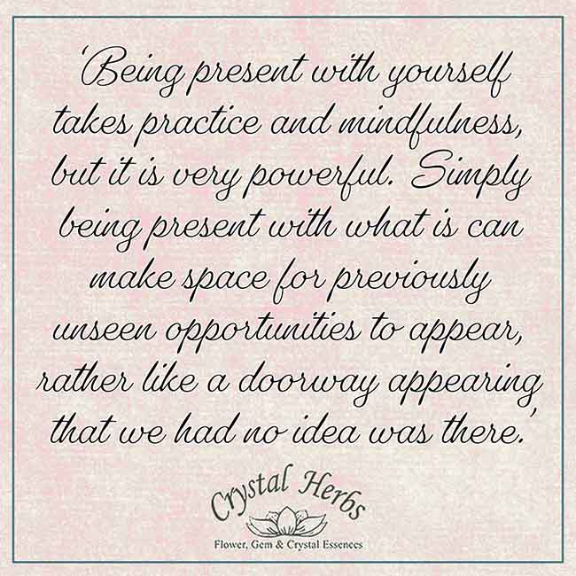 Quote about the importance of being present with yourself