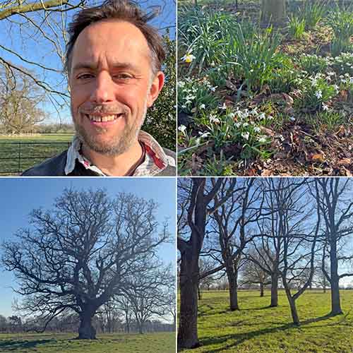 Montage Image - Picture of Sam Cremnitz,Snowdrops and Daffodils, and Trees in fields