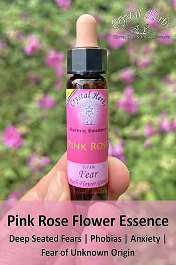 Bottle of Pink Rose Flower Essence with explanation text