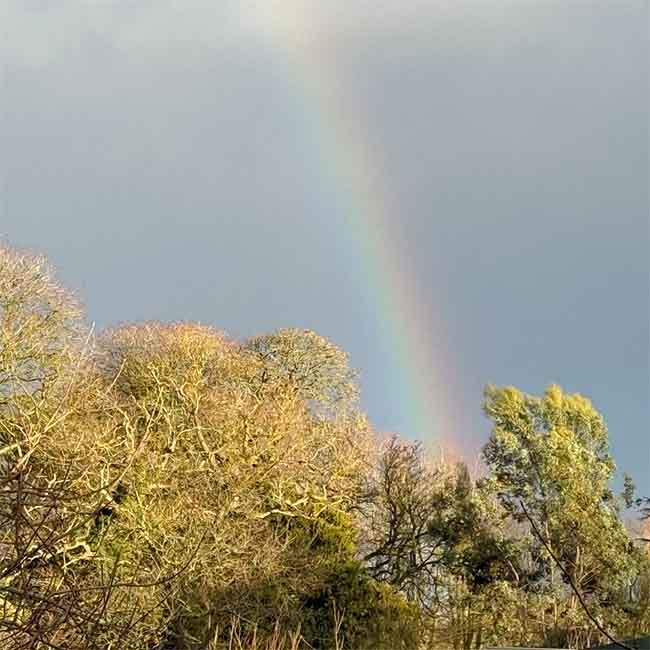 Beautiful rainbow over Crystal Herbs