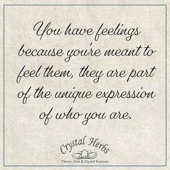 Image Quote: you have feelings 