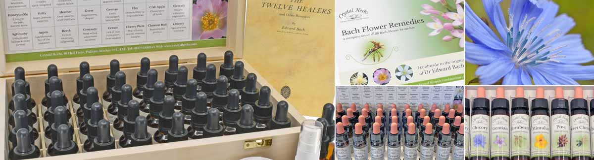 Bach Flower Remedy Set montage: 25ml Bach Flower Remedy Set in a wooden box, outside wrapper of a 10ml Bach Set in a card box, a Chociry flower, a 10ml Bach Set display, and close up of 10ml Bach Remedy bottles