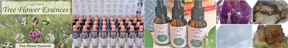 New Essence Montage: Tree flower essence set, Bach Set on a display stand, Puya flower essences, new crystal essences