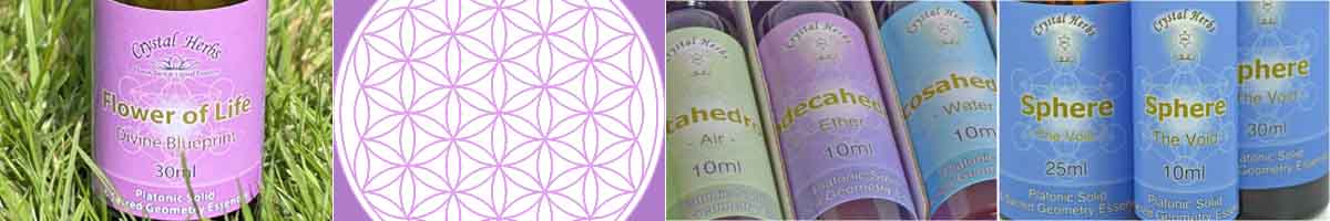 Platonic Solid Essence Montage: Flower of Life Essence, image of the flower of life, Platonic Solid Essence set, and bottles of Sphere Essence