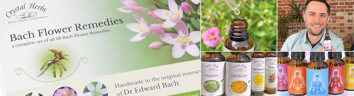 Montage Image: a Bach Flower Remdey Set, Bach Combination with dropper, Sam Cremnitz holding an essence, close up of single Flower Essences and Chakra Essence bottles