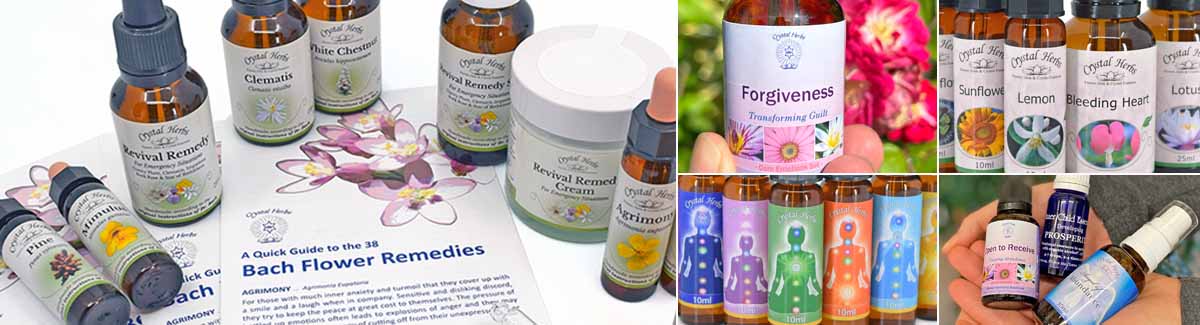 Montage: bottles of Bach Flower Remedies around a leaflet, a bottle of Forgiveness Essence, single Flower Essence bottles, Chakra Essence bottles and Essences held in a hand.