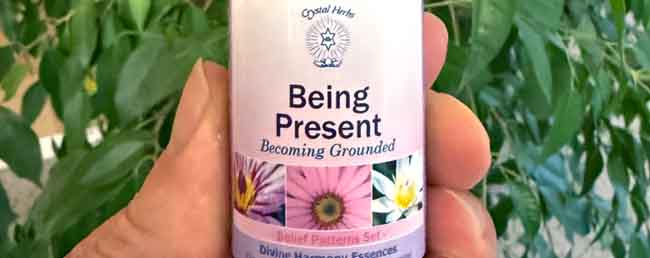 A bottle of the Inner Wisdom Essence lying in grass in nature