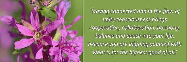 Quote about taying connected and in the flow