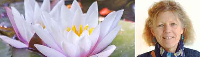 Picture of a Lotus flower and the author of E-Light Catherine Keattch