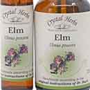 Close up of two bottles of Elm Bach Flower Remedy