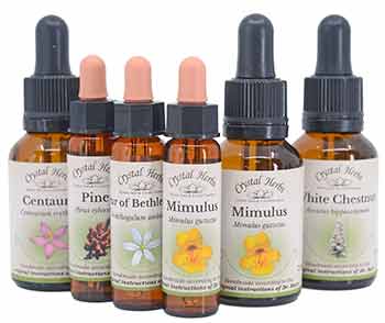 Crystal Herbs Bach Flower Remedies in 10ml and 25ml bottles