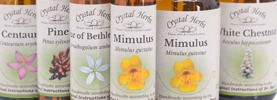 Bottles of Bach Flower Remedies in a row