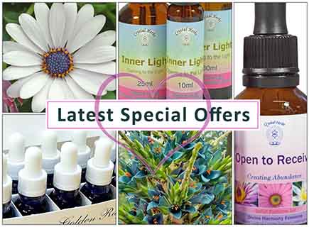 Montage of Essences and flowers - Crystal Herbs Special Offers