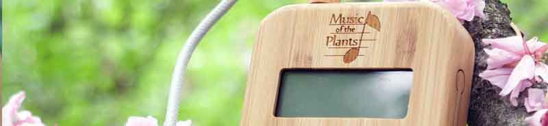 Close up of a Bamboo M plant music device