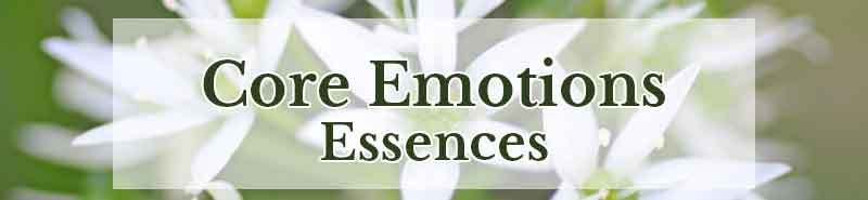 Garlic flowers overlaid with Core Emotions Essence text