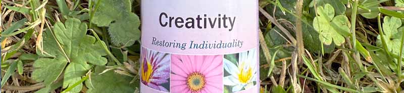 A bottle of the Creativity Essence lying in the grass