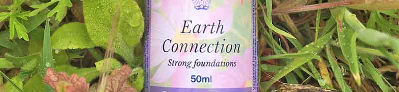 Close up of a bottle of Earth Connection Essence Spray in the grass