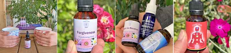 Flower Essence Consultations Essence Montage: Hands on mugs and a Loving Communications Essence, a bottle of Forgiveness Essence, three bottles of essences for Abundance, and a bottle of Base Chakra Essences