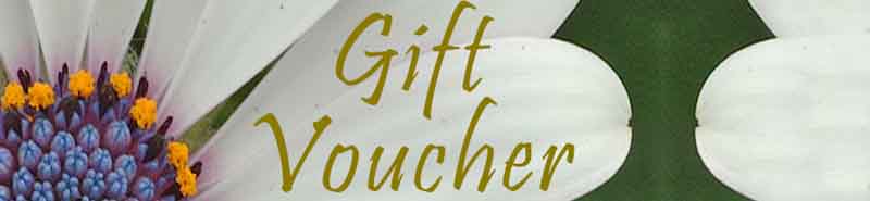 Picture of a Crystal Herbs Gift Voucher