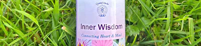 Picture of a bottle of the Inner Wisdom Essence lying in grass in nature