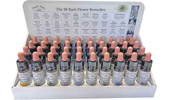 Bach Flower Remedy bottles on a card display stand