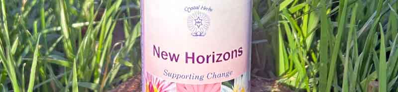 Close up of the New Horizons Essence sitting on a stone