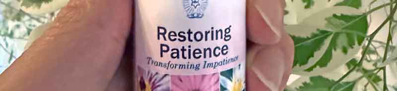 Close up of the Restoring Patience Essence in front of a plant