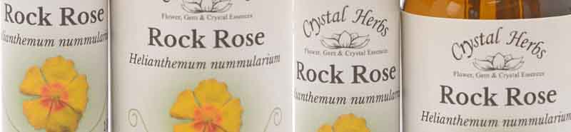 Four bottles of Rock Rose Bach Flower Remedy